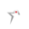 Americas Cardroom